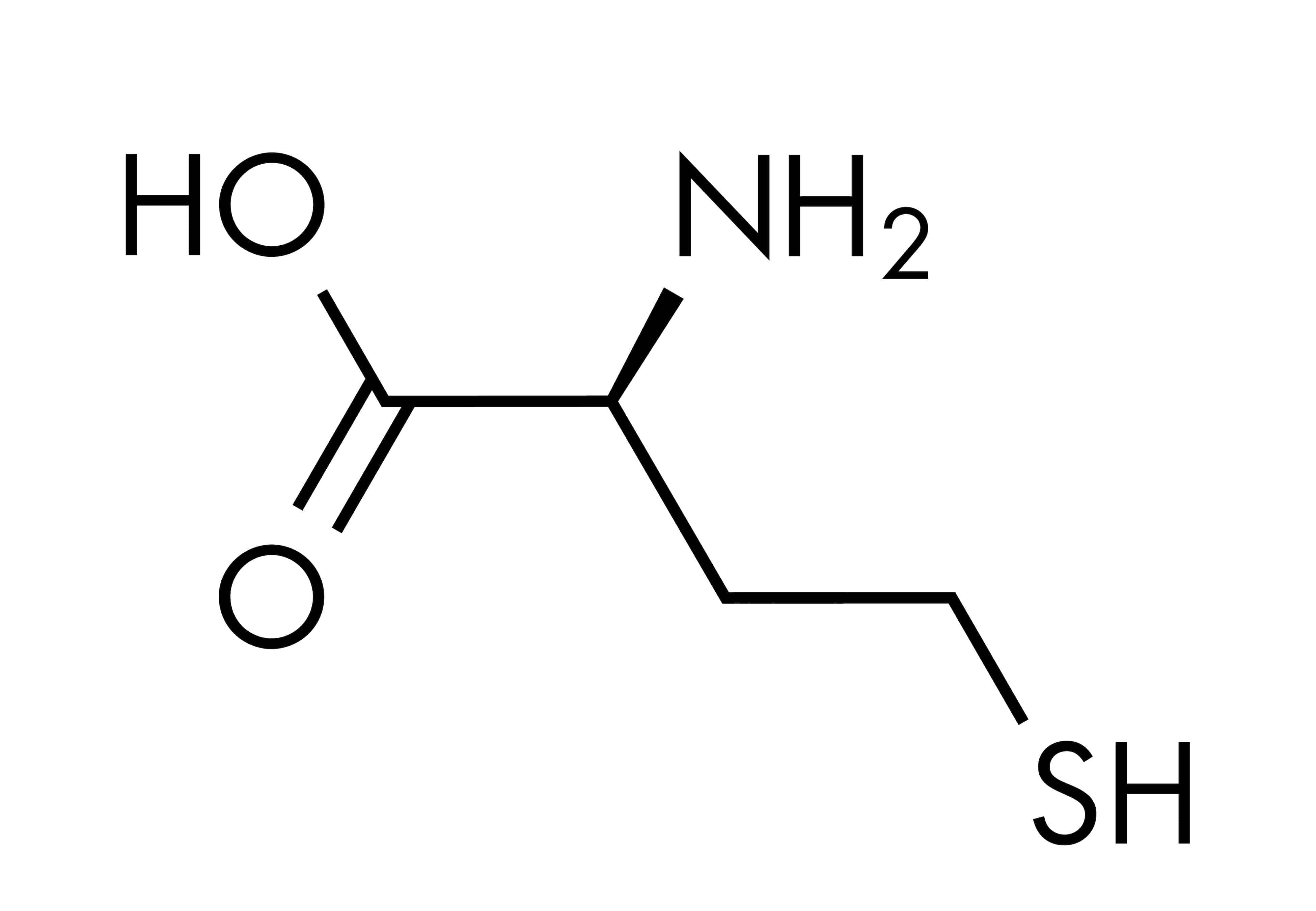 Featured image for “Homocystein”