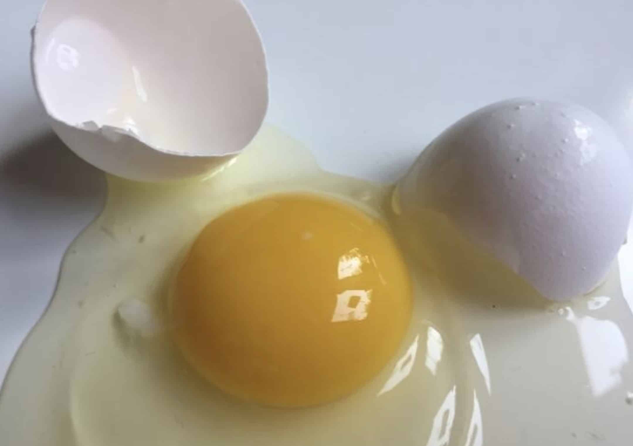 Featured image for “Äggvita och allergi – Få svar med Feminea IgE antikroppstest och förbättra din livskvalitet”