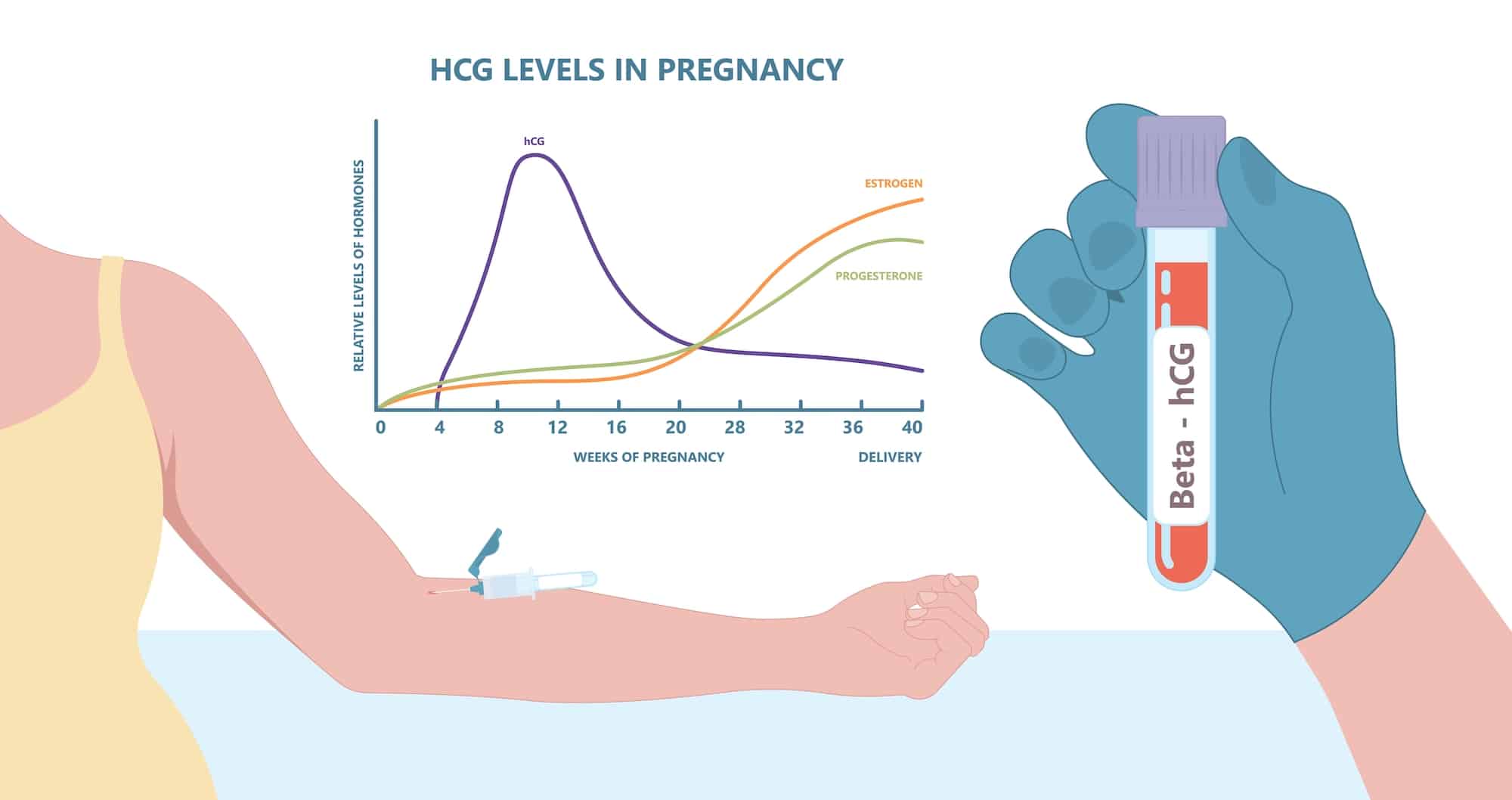 Featured image for “Humant koriongonadotropin (hCG)”