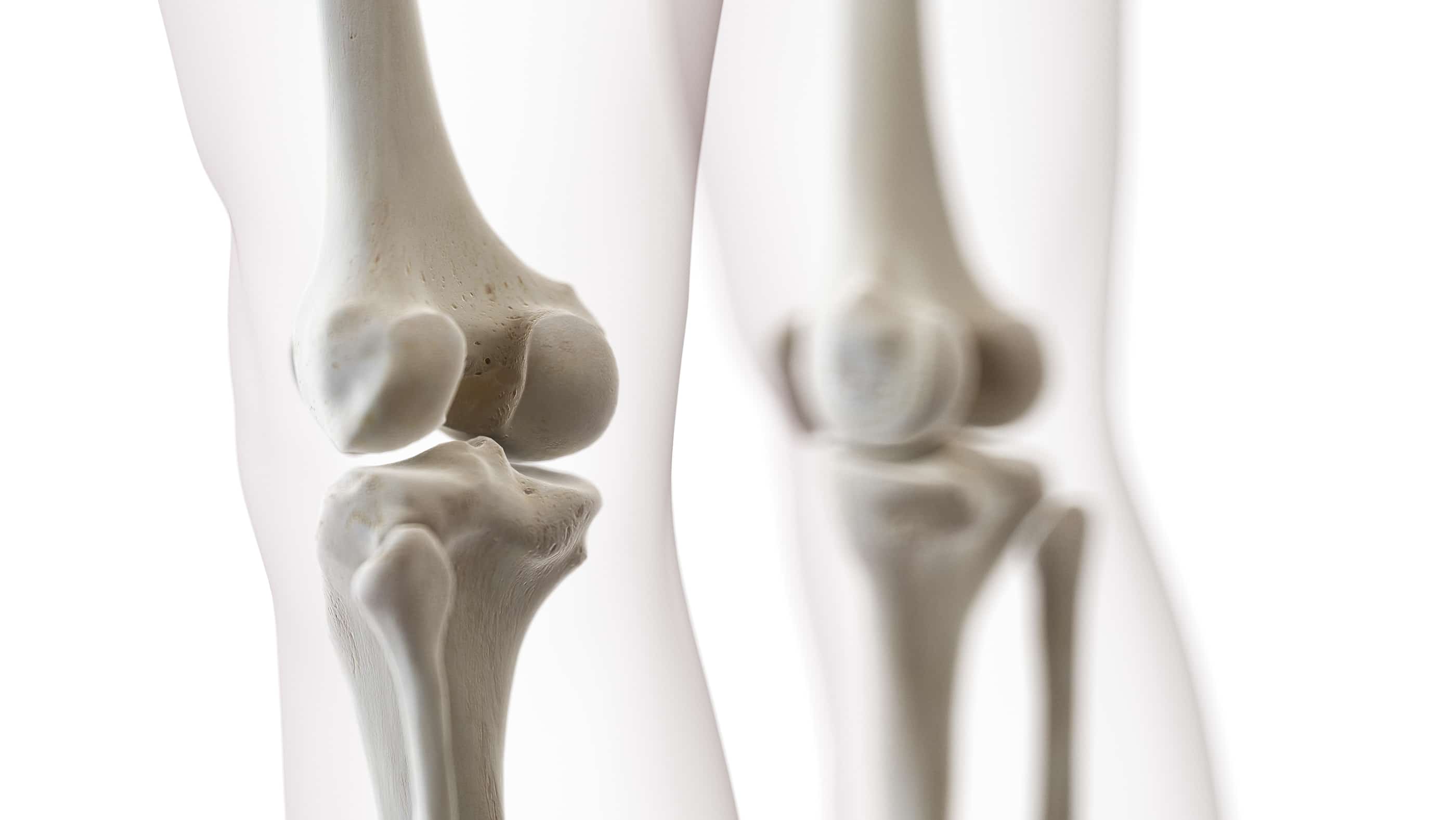 Featured image for “Osteokalcin”